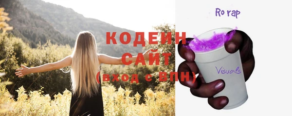 дурь Лабытнанги