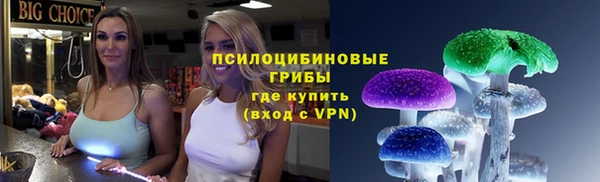 PSILOCYBIN Лагань