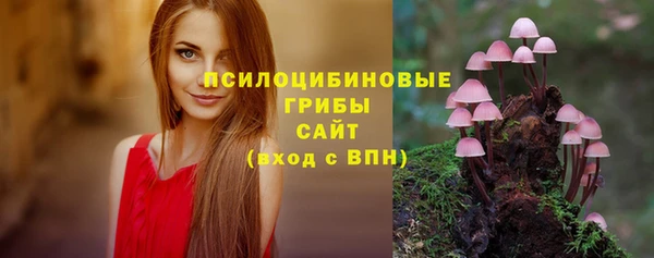 экстази Алексин