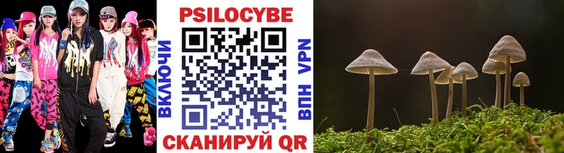 Псилоцибиновые грибы Psilocybe  блэк спрут ONION  Краснотурьинск  где найти наркотики 